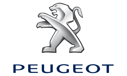 trava e vidro elétrico Peugeot
